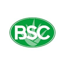 BSC